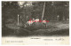 's Gravenwezel Schilde De Koornaard Geanimeerd Met Kinderen En Koeien 1904 Hoelen Cappellen Nr 421 - Schilde