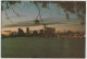 WESTERN AUSTRALIA WA City Skyline & River At Dusk PERTH Murfett P7066-2 Postcard C1970s - Perth