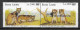 Delcampe - Sierra Leone 1988 Wild Animals Cats Of Prey Philately South Korea Stamp Exhibition Olymphilex Rare Set MNH - Raubkatzen