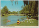 WESTERN AUSTRALIA WA Vasse River BUSSELTON Murray Views W1A Postcard 1989 Pmk 39c Stamp - Sonstige & Ohne Zuordnung