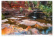 Postcard Australia Western Australia Dales Gorge In Karijini National Park - Andere & Zonder Classificatie