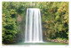 Postcard Australia Atherton Tablelands Queensland Millaa Falls - Atherton Tablelands