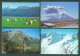 Delcampe - Lot Collection 120x New Zealand Cities Mountains Landscapes Maori - New Zealand