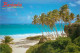 Antilles - Barbades - Barbados - Bottom Bay - CPM - Voir Scans Recto-Verso - Barbados (Barbuda)