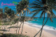 Antilles - Barbades - Barbados - Bottom Bay - CPM - Voir Scans Recto-Verso - Barbados