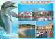 Animaux - Dauphins - Sanary Sur Mer - Multivues - CPM - Voir Scans Recto-Verso - Dolphins