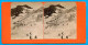 Chamonix 1861 * Caravane Dr Pitschner, Glacier Grands Mulets, Appareil Photo Stéréoscopique Tairraz - Voir Descriptif - Stereoscopic