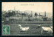 CPA - Carte Postale - France - Bourg De Thizy - Un Pâturage (CP24520) - Thizy