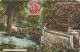 JAMAICA - ROARING RIVER BRIDGE, ST ANNS - GREETINGS FROM JAMAICA  - PUB. DUPERLY N*20 - 1919 - Giamaica