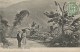 JAMAICA - ON THE ROAD TO CASTLETON - VALENTINE'S SERIES - 1910 - Jamaïque
