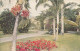JAMAICA - HOPE GARDENS - KINGSTON - B.W.I.  - PUB. MARDON - 1951 - Jamaica
