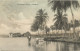 JAMAICA - COCOANUT GROVE - PUB. BY CLEARY N° 1 - 1906 - Giamaica