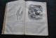 Delcampe - Reliure Annuelle Revue Le Magasin Pittoresque 41è Et 42è Années 1873 1874 CHARTON Gravures Actualité Arts Voyages Japon  - Tijdschriften - Voor 1900