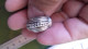 B16 / BAGUE METAL ARGENTES - Ringe