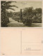 Ansichtskarte Bad Pyrmont Palmengarten 1918 - Bad Pyrmont