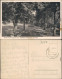 Ansichtskarte Hameln Garten Des Stadtkrankenhauses 1938 - Hameln (Pyrmont)