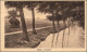 Ansichtskarte Burg (Spreewald) Borkowy (B&#322;ota) Spreewald - Kaupen 1915  - Burg (Spreewald)