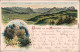 Litho Ansichtskarte Walzenhausen Panorama, Restaurant Meldegg 1900 - Other & Unclassified