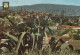 # ESPAGNE - ALCOY / PANORAMAS Et ANTIGUA CASA De La VILLA (lot De 2 CP) - Otros & Sin Clasificación