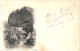 CPA Carte Postale Algérie Constantine  Cascade De Sidi Mécid  1902  VM78937 - Constantine