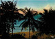 Antilles - Coucher De Soleil Sur La Mer Des Caraibes - CPM - Voir Scans Recto-Verso - Andere & Zonder Classificatie