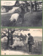 Delcampe - Bon Lot De 90 CPA/CPSM FOLKLORIQUE SUD-OUEST - Coiffes, Costumes, Scènes De Vie Et Des Champs, Habitat, Fantaisies,.... - 5 - 99 Cartes