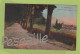 88 VOSGES - CP COLORISEE REMIREMONT - LA PROMENADE DU CALVAIRE - LL N° 47 Ellen - Remiremont