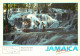 Antilles - Jamaïque - Jamaica - Dunn's River Falls - Femme En Maillot De Bain - Cascades - CPM - Voir Scans Recto-Verso - Jamaïque