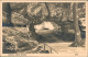 Ansichtskarte Kirnitzschtal-Sebnitz Kuhstall Foto Hering 1951 - Kirnitzschtal