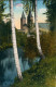 Ansichtskarte Rochlitz Schloss Teich Blick Durch Bäume 1910 - Rochlitz