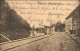 Ansichtskarte Plau (am See) Straße, Eldepartie Und Wall 1924 - Plau