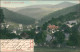Ansichtskarte Kipsdorf-Altenberg (Erzgebirge) Stadt - Handcolorierte AK 1903 - Kipsdorf