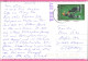 Postcard Chiang Mai Wat Phra Singh Gel. Briefmarke Airmail 1996 - Thaïlande