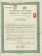 Titre De 1923 - Madeira Mamore Railway Company - - Ferrocarril & Tranvías