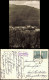 Ansichtskarte Bodenmais Totale 1955 - Bodenmais