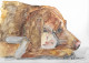 Art & Antiquités > Tableaux > Aquarelle Le Chien Et Le Petit Chat Aquarelle Originale De Bernard Le Beguec - Aquarelles