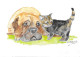 Art & Antiquités > Tableaux > Aquarelle Le Boxer Et Le Chaton Aquarelle Originale De Bernard Le Beguec - Wasserfarben