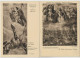Delcampe - VENEZIA 1935 MOSTRA DI  TIZIANO -1937  MOSTRA DEL TINTORETTO -1939 MOSTRA DEL VERONESE - Malerei & Gemälde