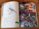 Foliage Birds : Australian Birds And Their Favoured Plants Par George Martin Adams (1981) Livre En Anglais - Animales