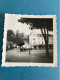 2 X Photo WWII Allemande Valkenburg MAASTRICHT  IR 83 IR 151 - 1939-45