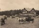 125364 - Floh-Seligenthal, OT Schnellbach - Ebertwiese - Schmalkalden