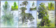 Viet Nam Vietnam Maxi Card Cards With Perf Stamps 2023 : PRECIOUS WOOD TREES / Plant / Flora / Tree / Fruit (Ms1182) - Viêt-Nam