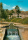 Israel - Jericho - La Fontaine D'Elisha , Vue Vers Le Mont De Tentation - Elisas Fountain, View Towards Mount Of Temptat - Israel