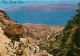 Israel - Ein Gedi - Nachal David, View Towards The Dead Sea Nachal David Is A Canyon With Rich Végétation Springs And Wa - Israel