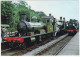 Engines 488, LSWR, 592 SECR, And USA-SR 30064 At Horsted Keynes For Cavalcade, 1982 - (U.K.) - Steamlocomotive - Stations With Trains