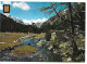 PARC NACIONAL D'" AIGUES TORTES " / AIGUES TORTES NATIONAL PARK.- .- VALL DE BOHI - LLEIDA.- (CATALUNYA) - Lérida