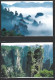 CHINE. 5 Cartes Postales Pré-timbrées De 1998 Avec Oblitération 1er Jour. Wulingyuan/Formations Rocheuses. - Berge