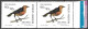 Delcampe - Argentine Football Oiseaux Passereaux Carouge Safran Birds Saffron Cowled Blackbird Vögel Aves Uccelli Tordo ** 1973 20€ - Pájaros Cantores (Passeri)