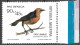 Delcampe - Argentine Football Oiseaux Passereaux Carouge Safran Birds Saffron Cowled Blackbird Vögel Aves Uccelli Tordo ** 1973 20€ - Zangvogels
