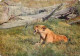 Animaux - Lions - Lionne D'Afrique - CPM - Voir Scans Recto-Verso - Leones